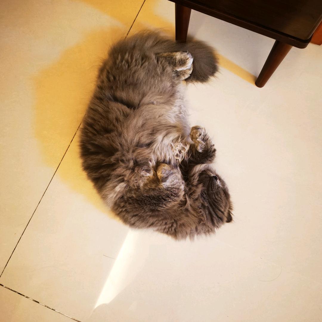 He.