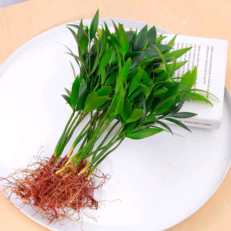 用户有财