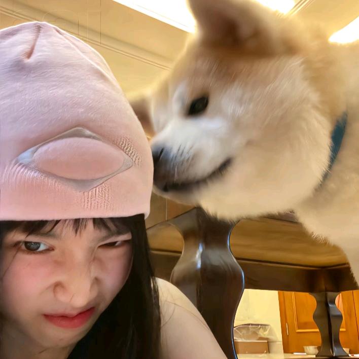 疯狂F3