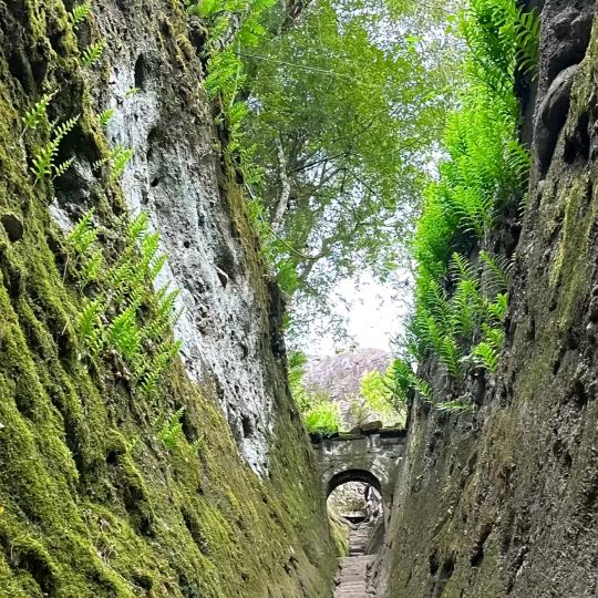 世外寻百草