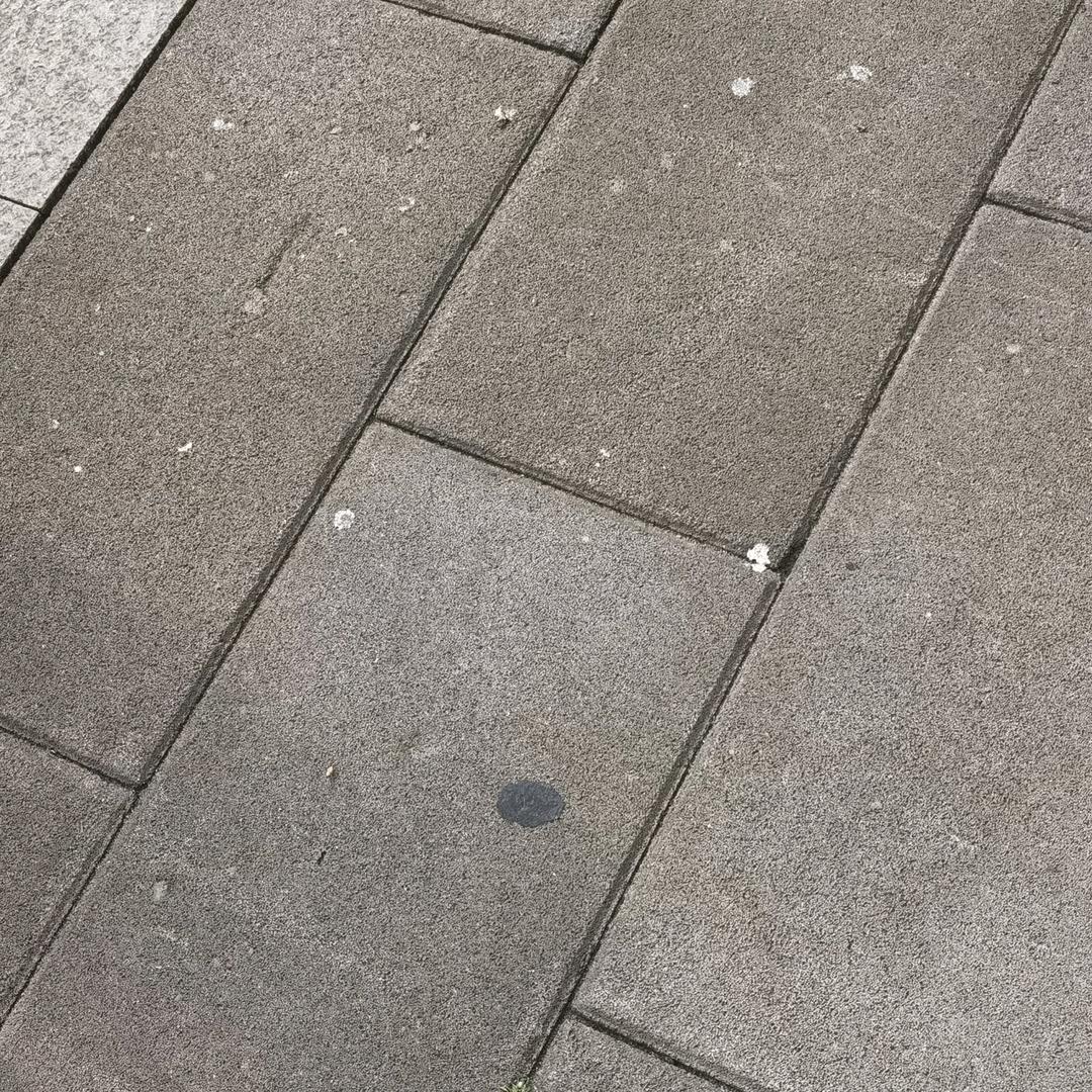 青山过客
