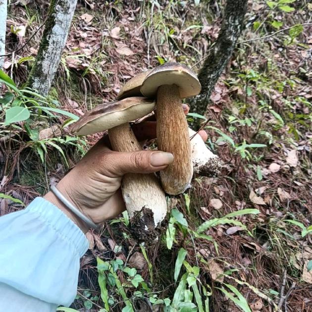 虋川妹百货（同款在橱窗）