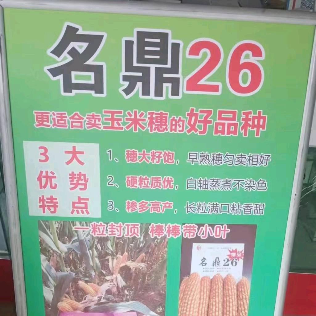 枣强世杰农资