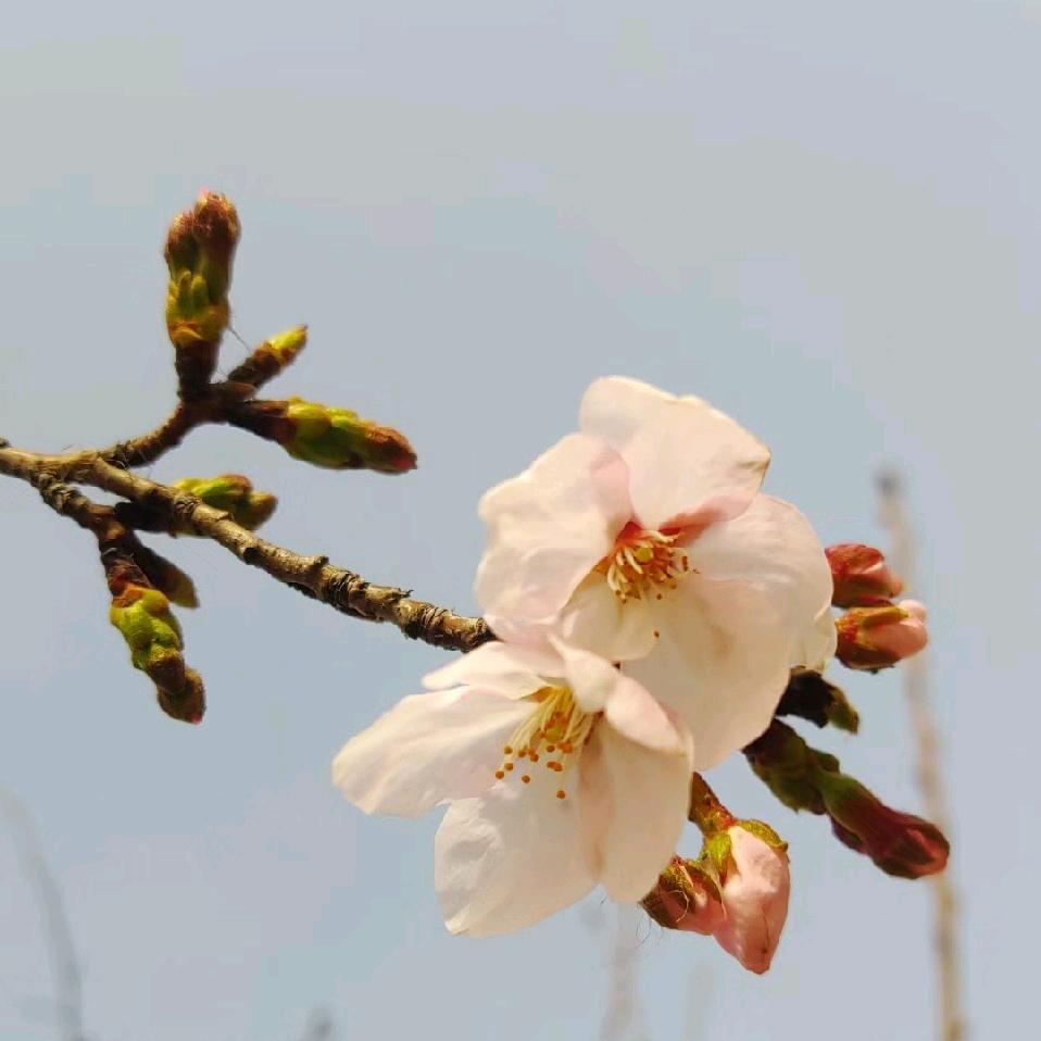 福气满满