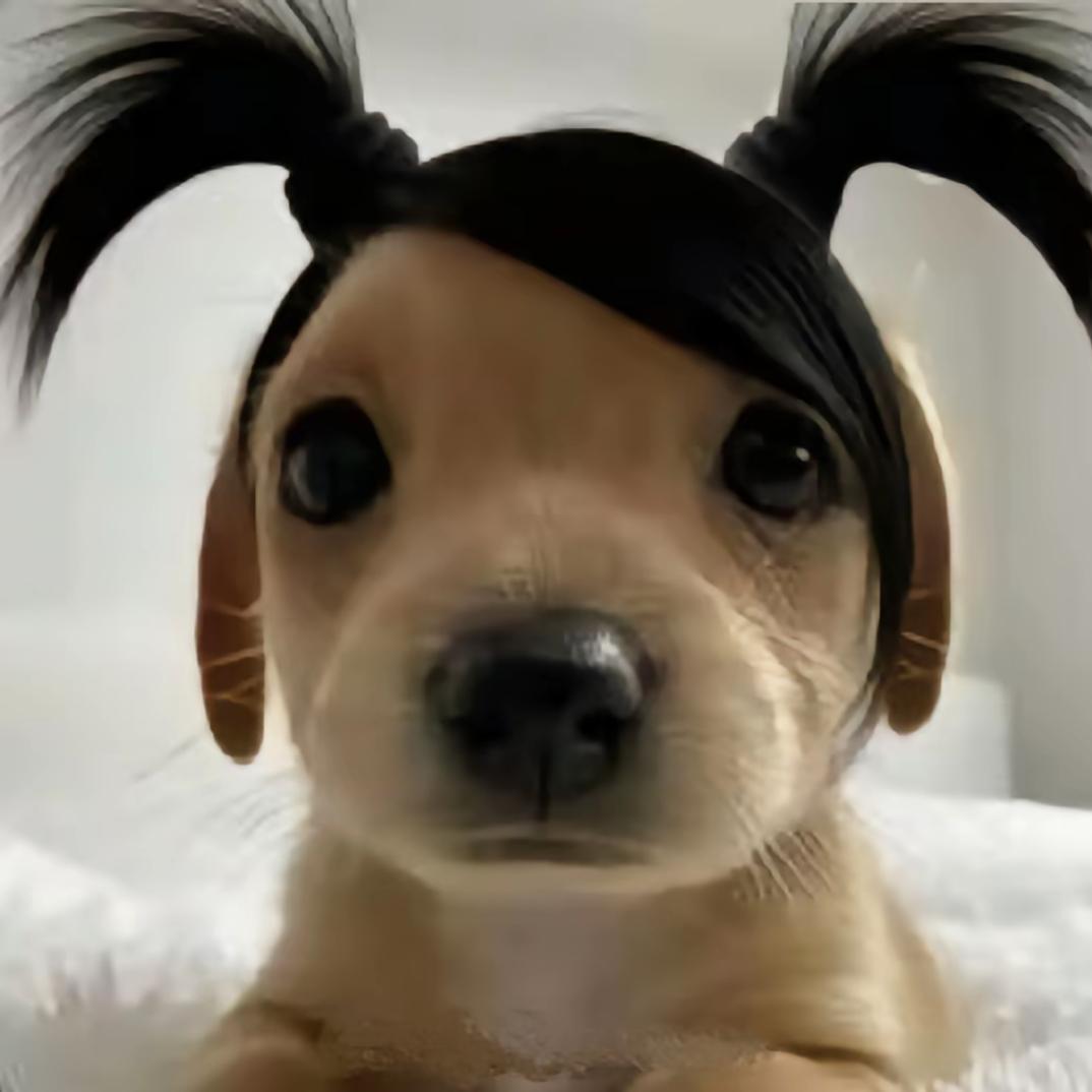 翻脸不任人