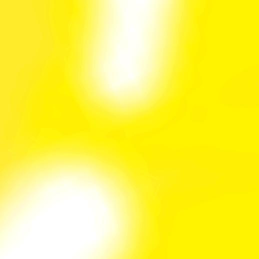 🌸🌷🌷🌷不完