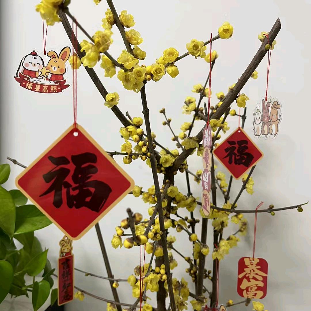 小草