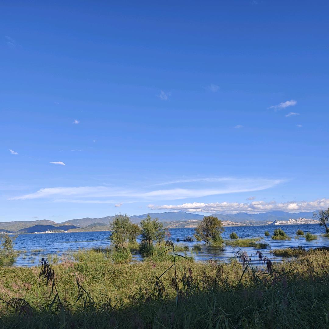 乘风破浪会有时