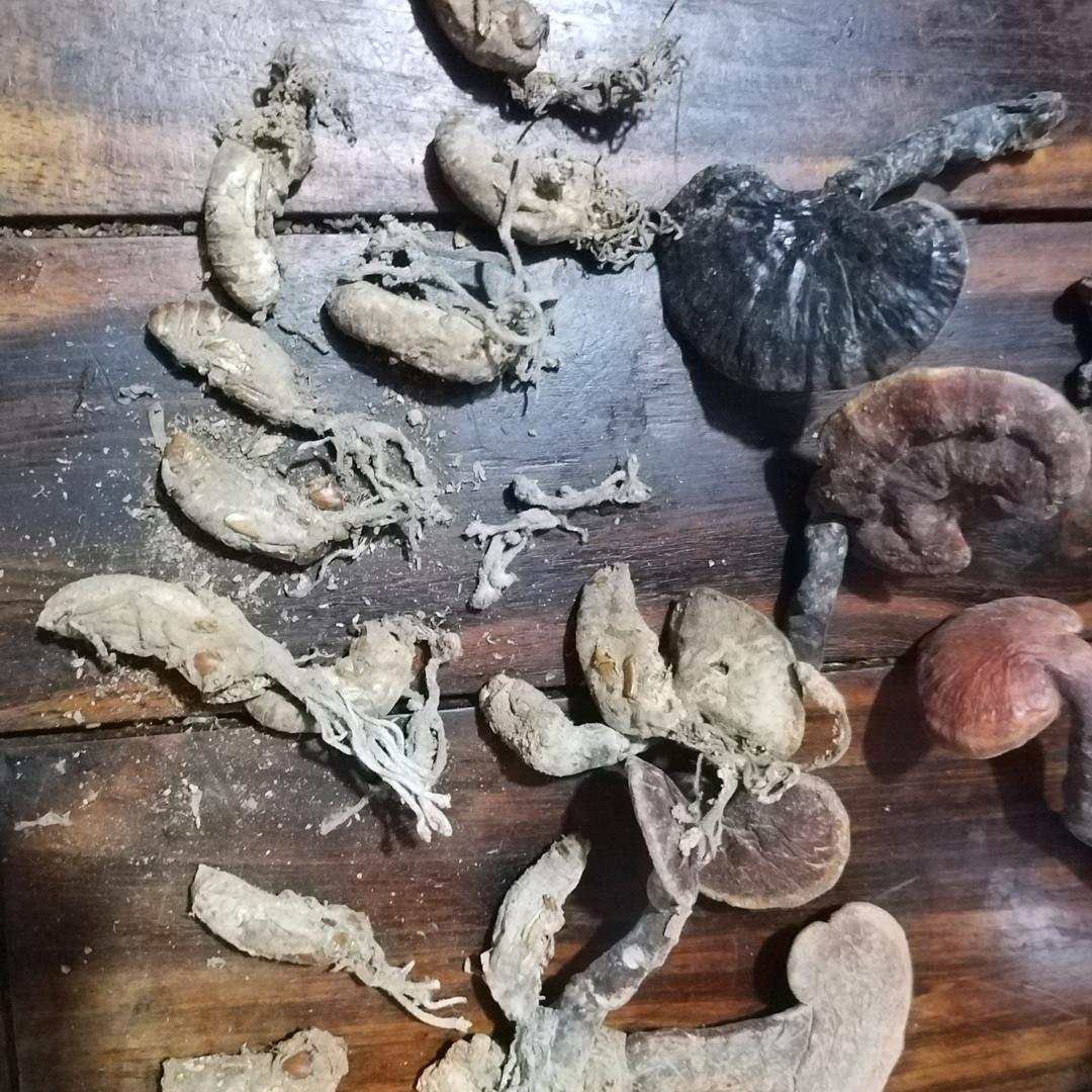 李队地质钻探有限公司