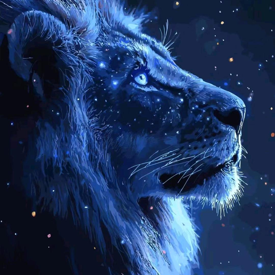 雪后的阳光☀️