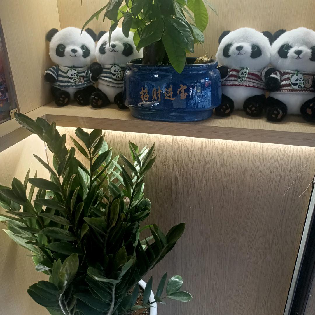 丽仙