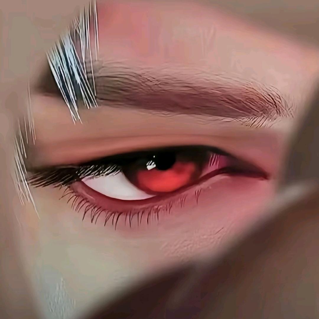 之之狸