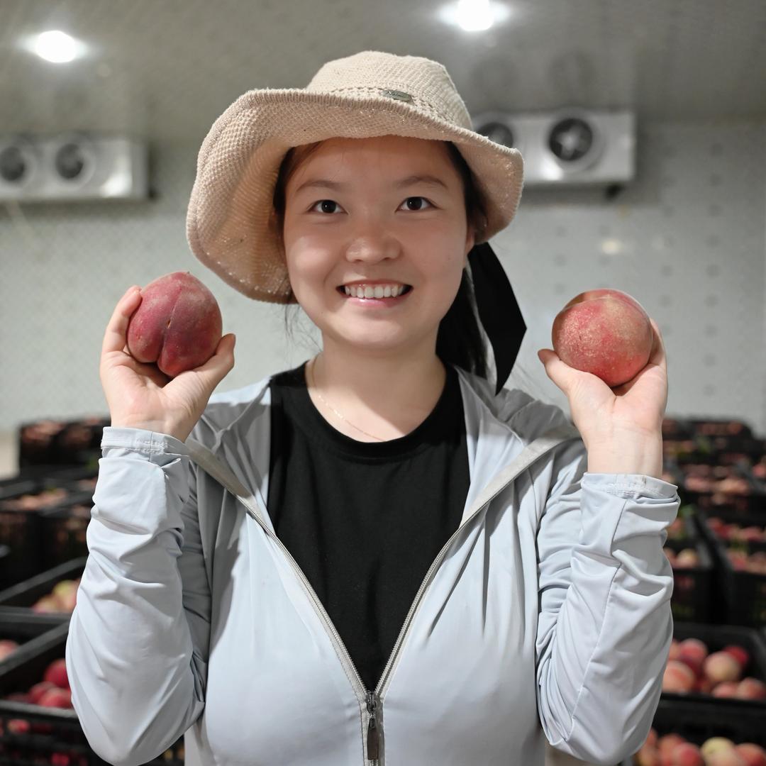 云南·马关优选官