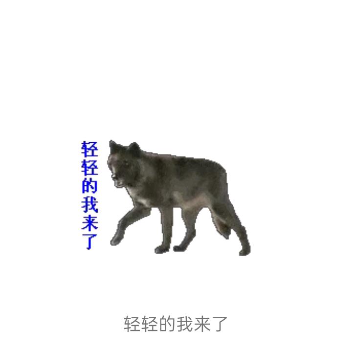 星⭐星
