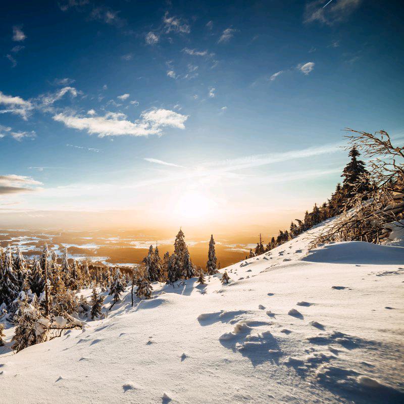 ᝰꫛꫀꪝMꫀꫀt ꪗꪮꪊ′