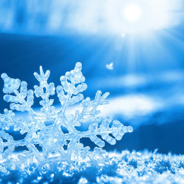 雪花❄️❄️