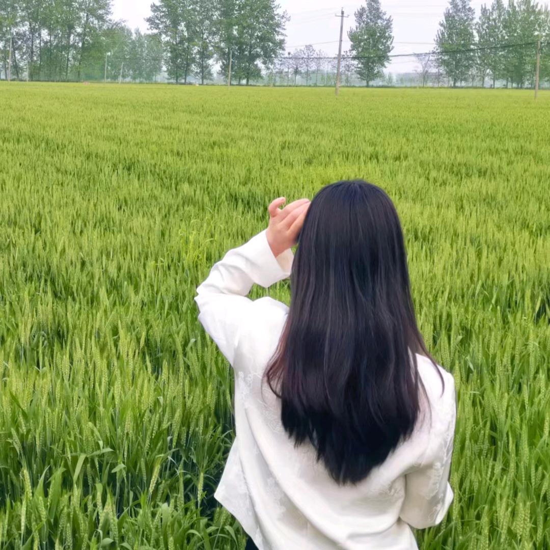夏天の糖果