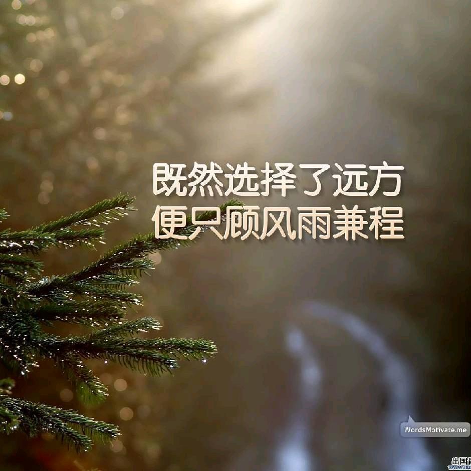 图书