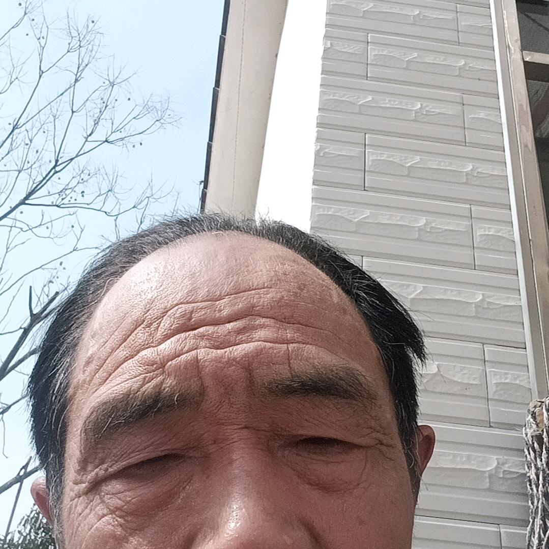 德乐