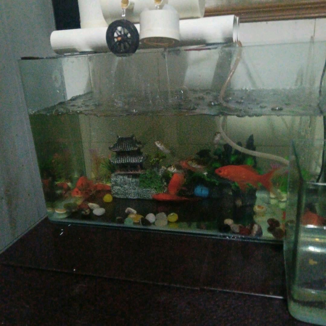 真诚的你