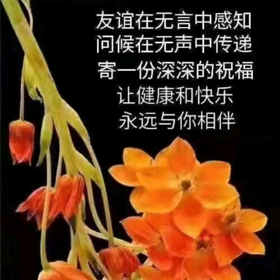 恋上你的唇
