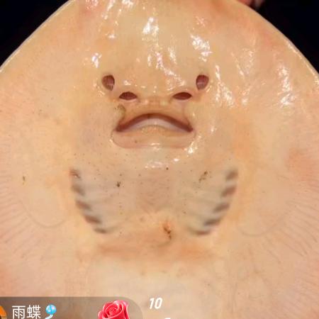路人1