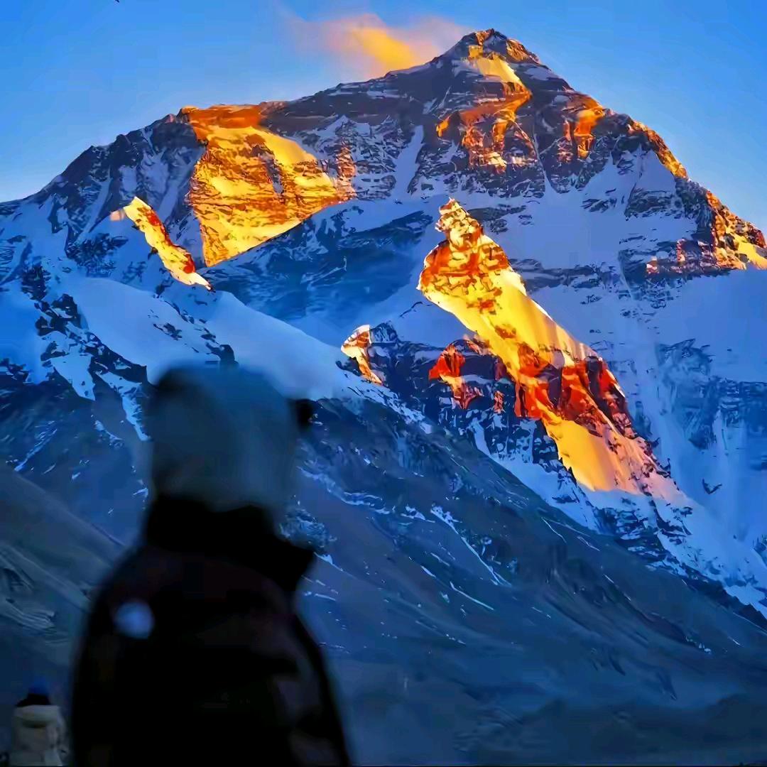 龙夫🐉⛰️