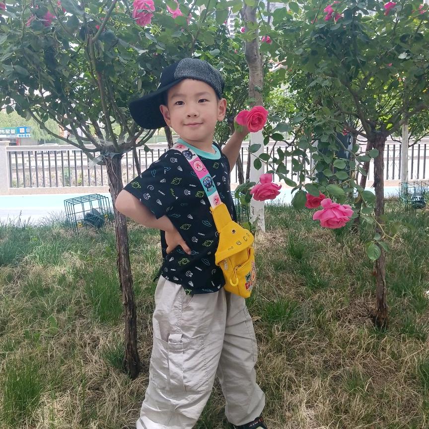 小七