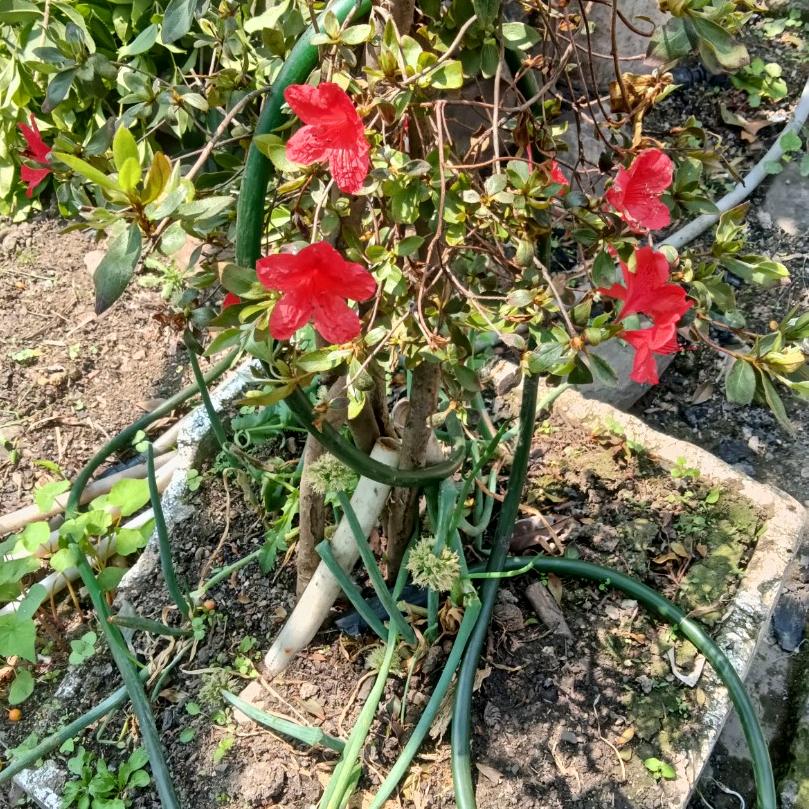 我是时间的坚强人