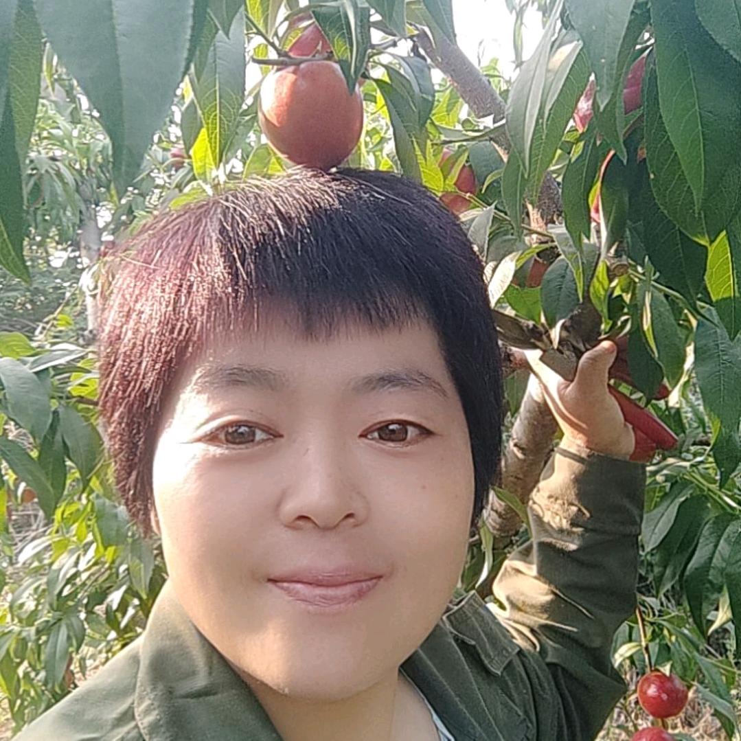 慧敏