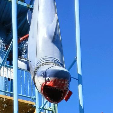 90后小伙子户外撒网