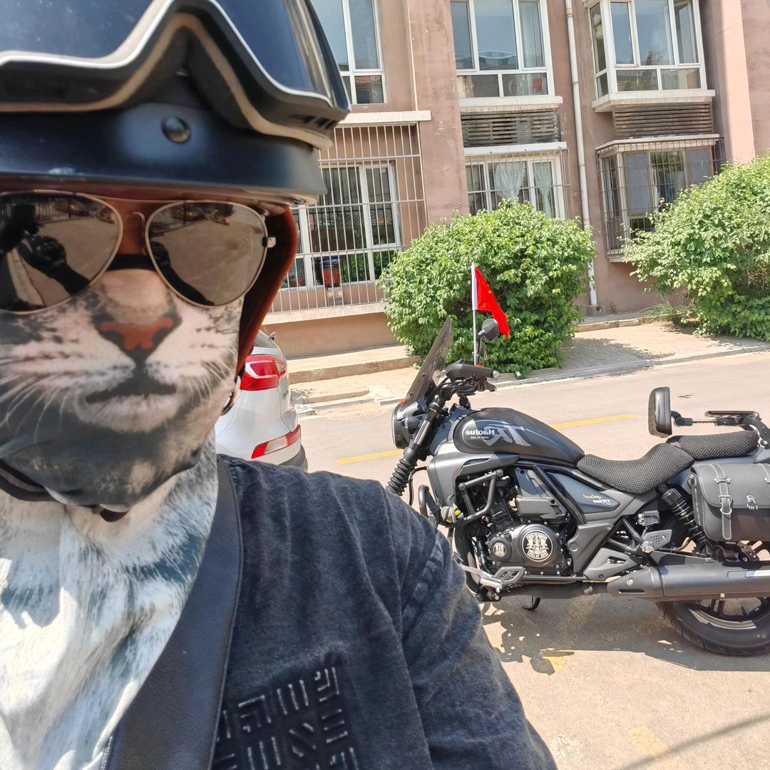 呼市飞乐二手车（小号）