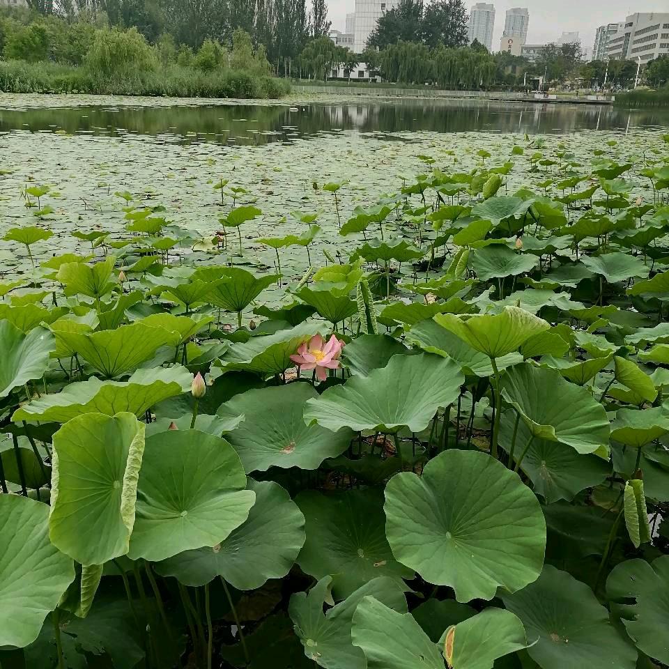 美好回亿