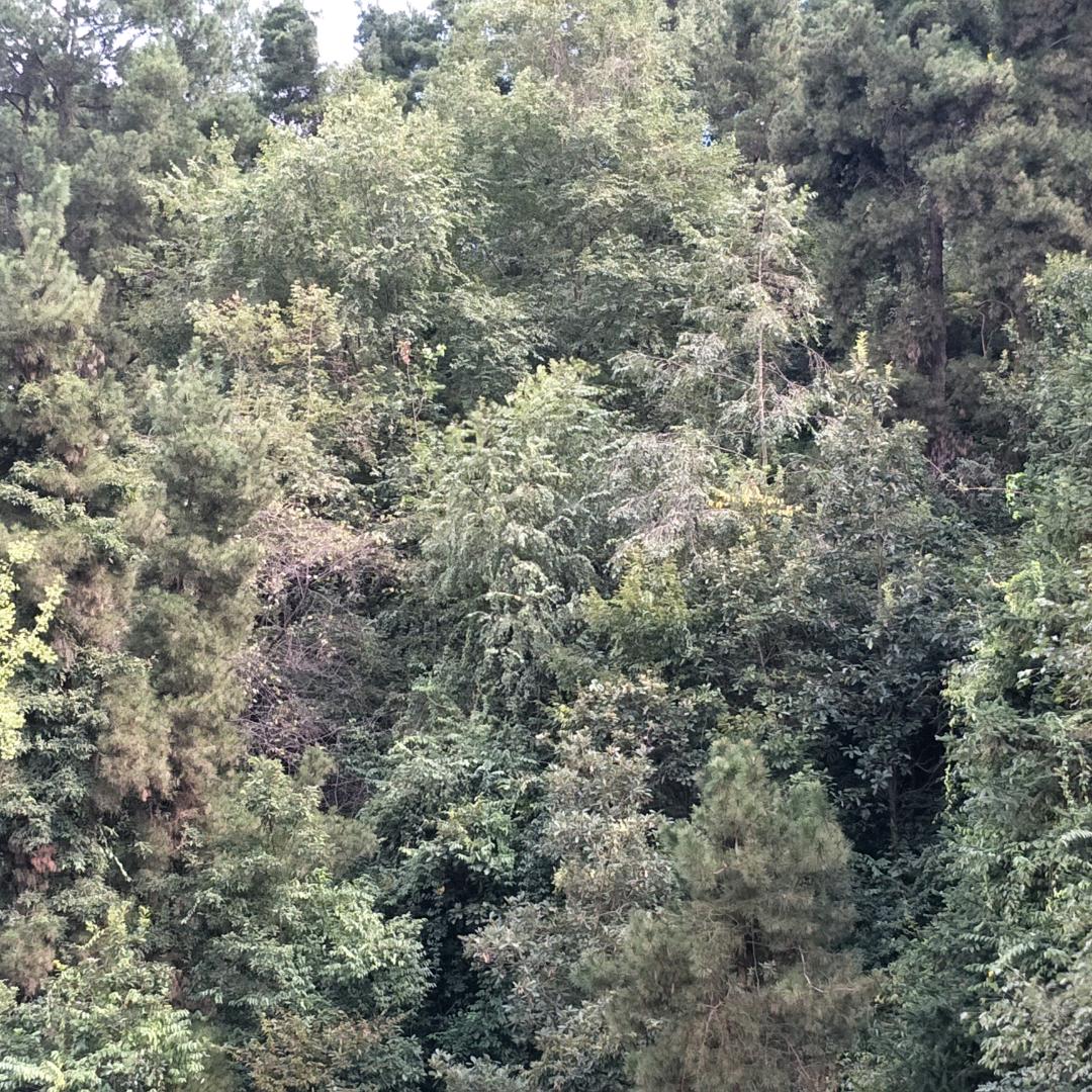 平静的心❤️平凡的人