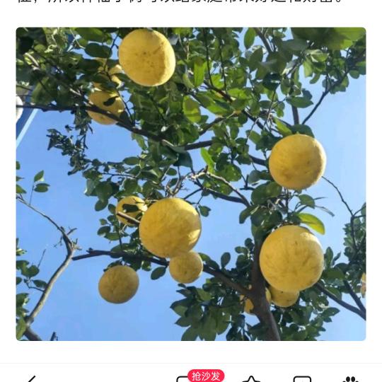 （我想你留下来）