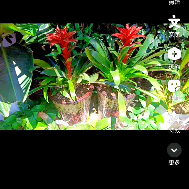 @大贵州好风景🌹