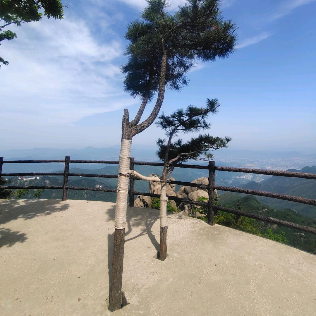 李李李李