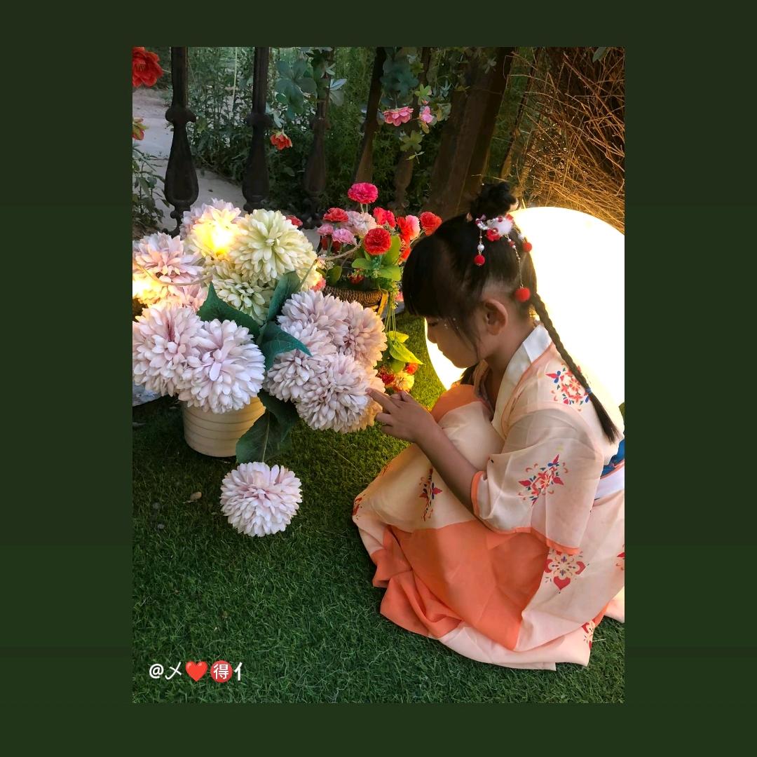 柒瓣紫丁香
