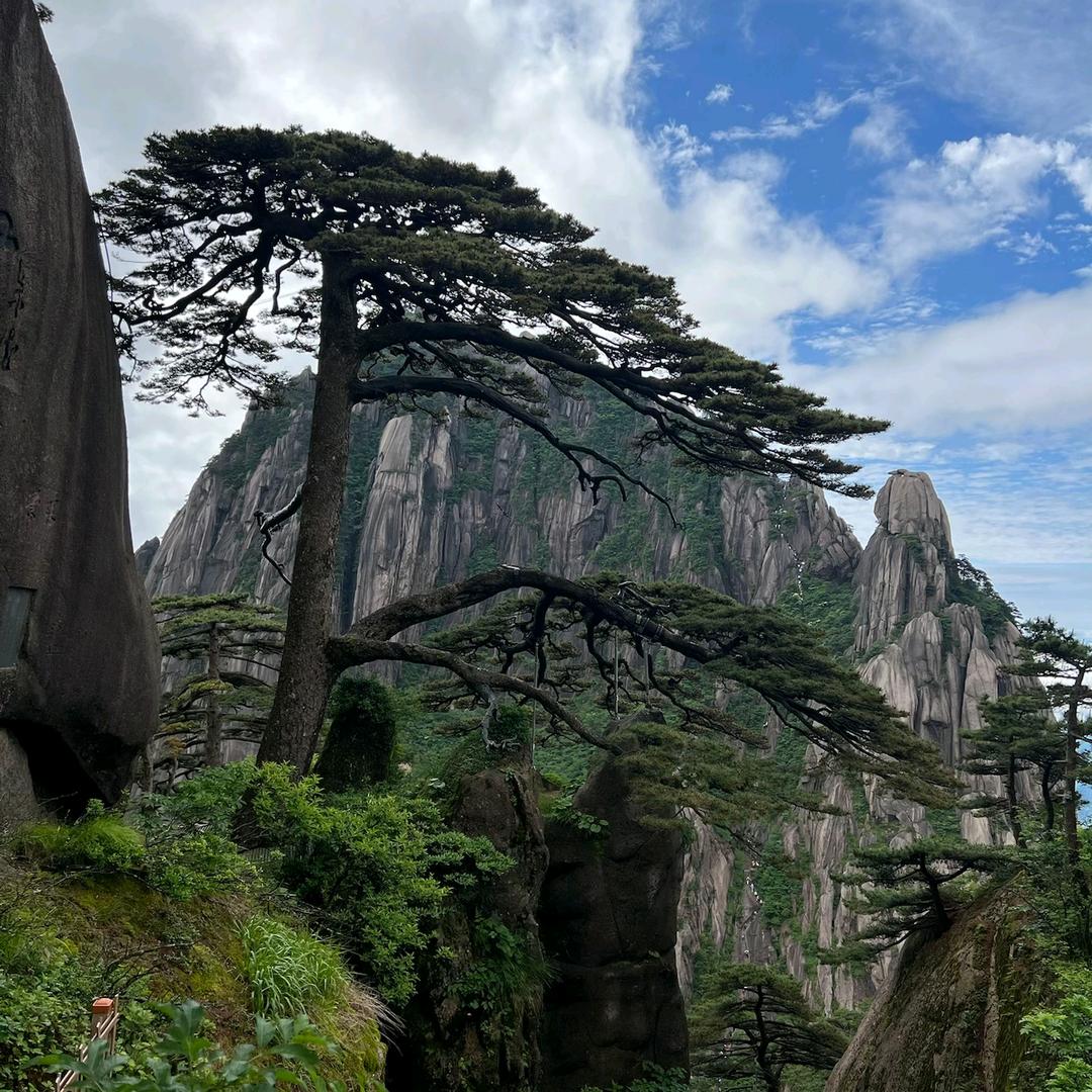纤美