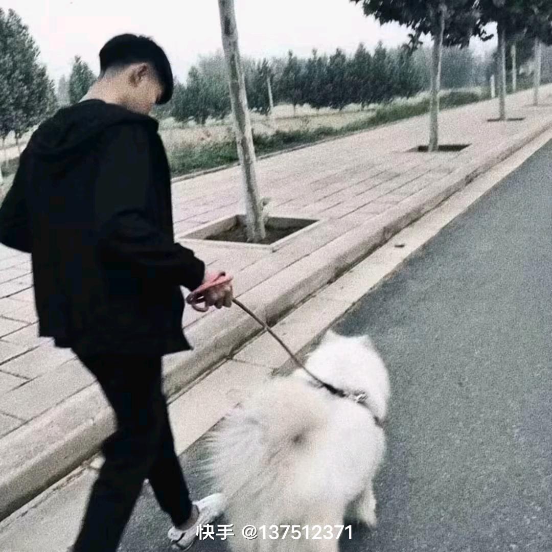 这个龙🐉