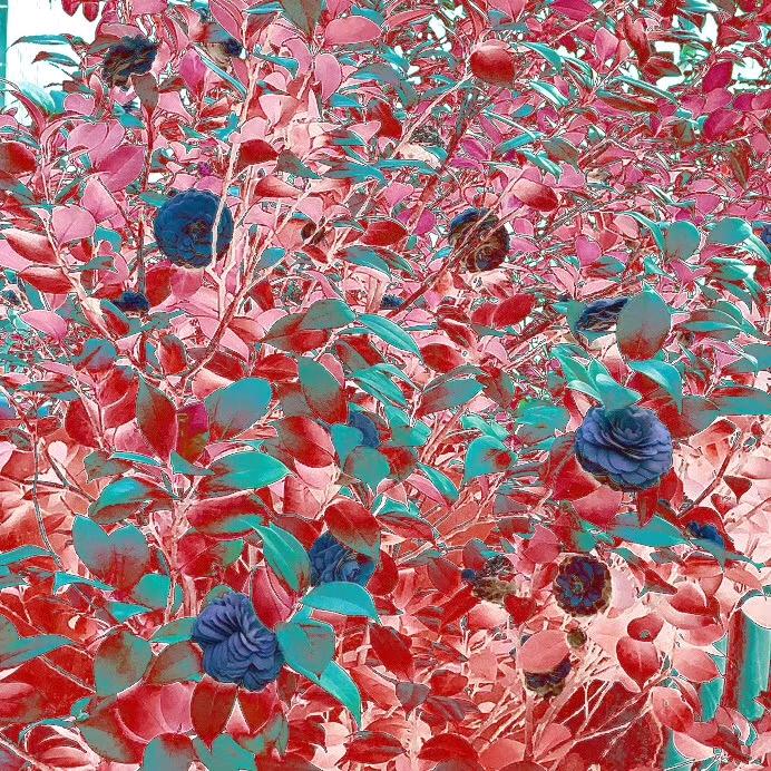 道似无情却有情