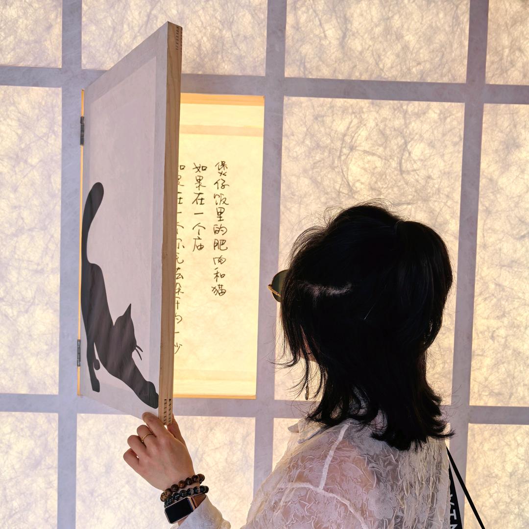 张小C's