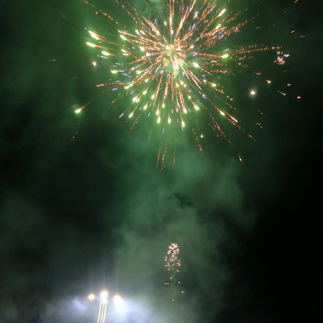 大王叫我来巡山