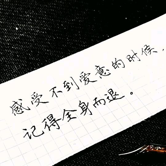 💞向暖🦋
