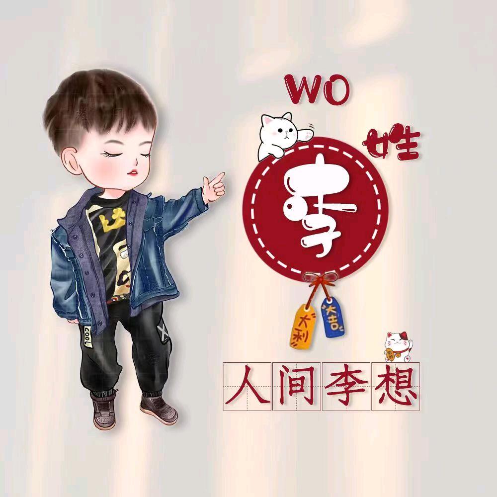 人间李想💎