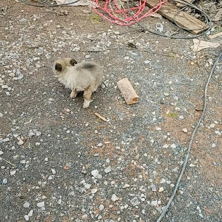 巴中茶叶之乡