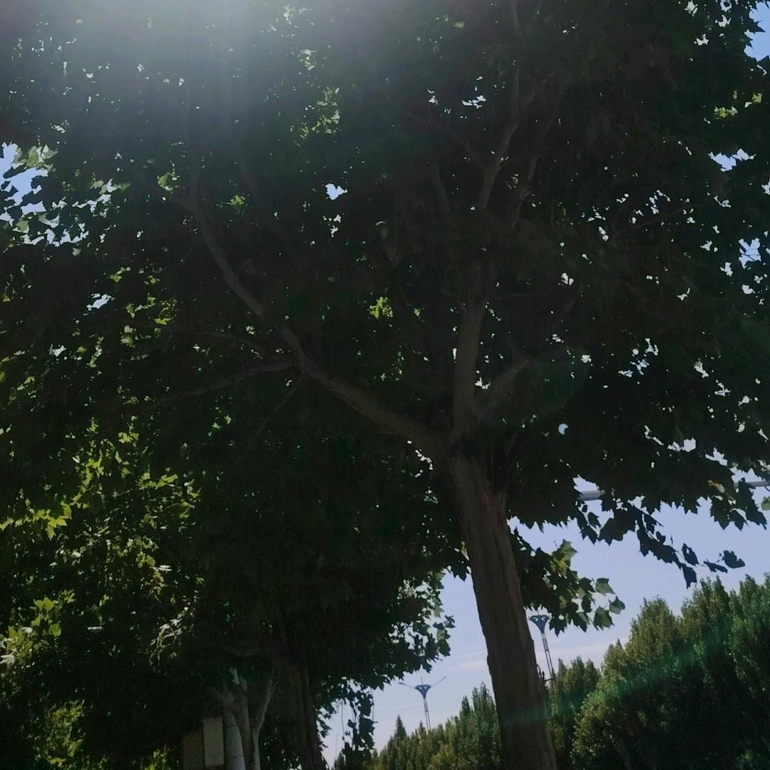 用户5487648794245