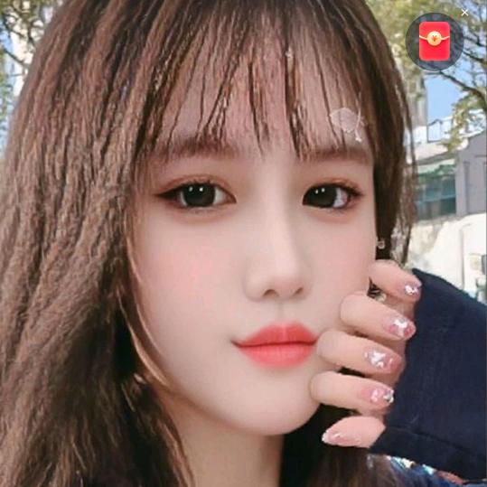 凤儿