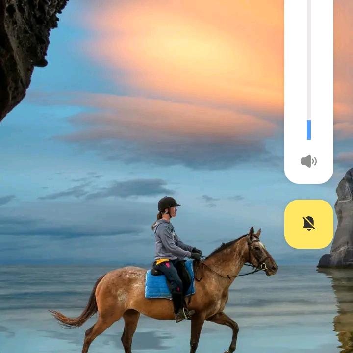 遗憾的一生，25..2.23