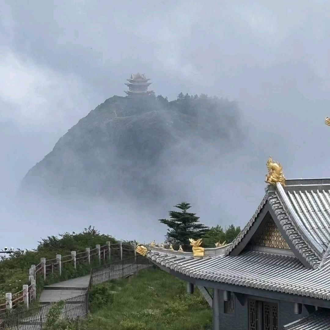 鸿佳娟姐